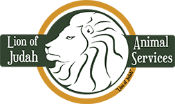 Veterinarian Corpus Christi | Animal Services